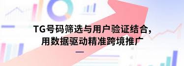 游客